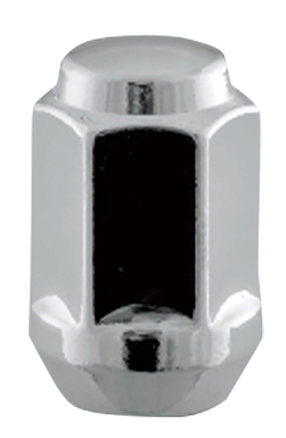  - Passenger Lug Nuts and Acc